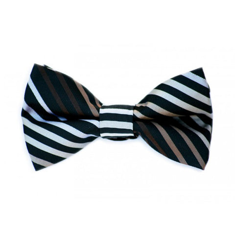 Gray and Blue Stripe Bow Tie