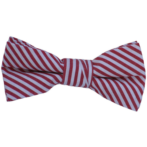 Purple and White Sheersucker Bow Tie