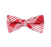 Red Striped Bow Tie
