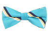Kid's Pre Tied Bowtie Party Dress Up ( Multiple Styles )