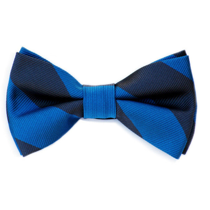 Blue and Navy Bow Tie