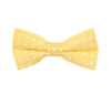 Yellow Polka Dotted Birthday Bow Tie