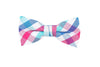 Pink Blue Checkered Bow Tie