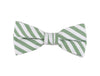 Green Striped Bow Tie