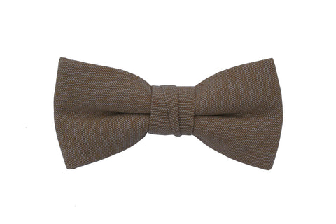 Blue and Brown Stripe Bow Tie