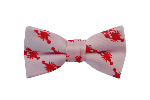 Navy and White Anchors Kids Bow Tie with Motifs
