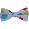 Birthday Boy Bow Tie