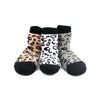 Organic Cotton Animal Print Sock Set