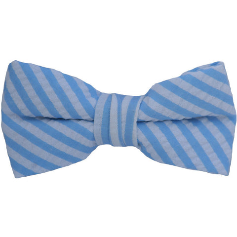 Blue Striped Bow Tie