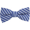 Purple and White Sheersucker Bow Tie