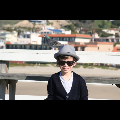 Gray Fedora with Black Band